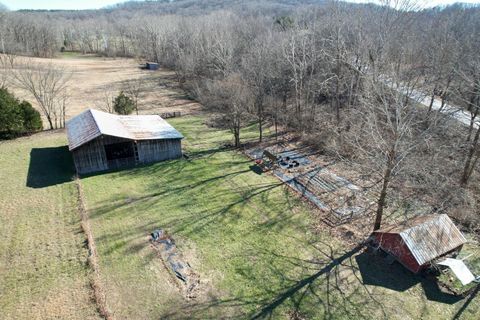 Tiny photo for 342 Bassett Road, Elizabethtown, IL 62931 (MLS # 100000561)