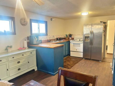 Tiny photo for 342 Bassett Road, Elizabethtown, IL 62931 (MLS # 100000561)