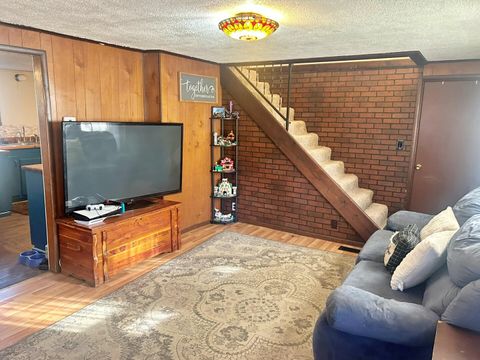 Tiny photo for 342 Bassett Road, Elizabethtown, IL 62931 (MLS # 100000561)