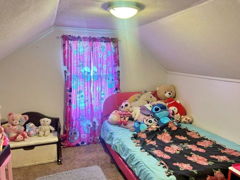 Tiny photo for 342 Bassett Road, Elizabethtown, IL 62931 (MLS # 100000561)