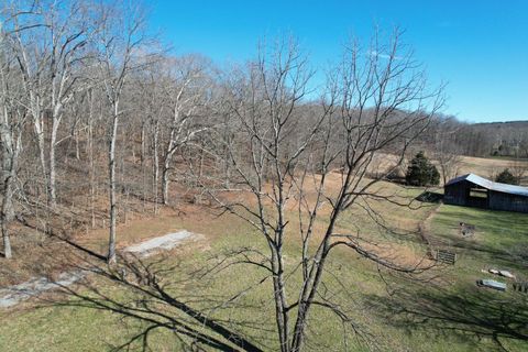 Tiny photo for 342 Bassett Road, Elizabethtown, IL 62931 (MLS # 100000561)