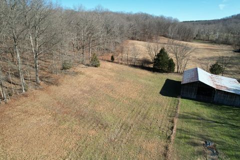 Tiny photo for 342 Bassett Road, Elizabethtown, IL 62931 (MLS # 100000561)