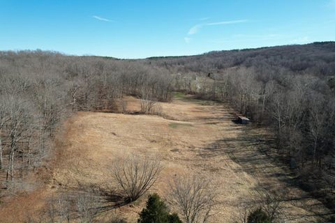 Tiny photo for 342 Bassett Road, Elizabethtown, IL 62931 (MLS # 100000561)