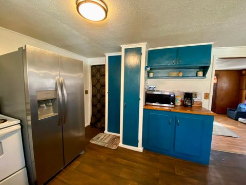 Tiny photo for 342 Bassett Road, Elizabethtown, IL 62931 (MLS # 100000561)