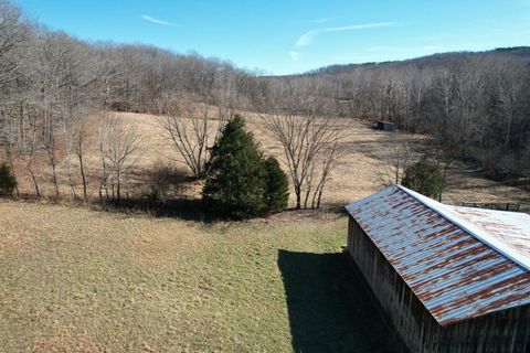 Tiny photo for 342 Bassett Road, Elizabethtown, IL 62931 (MLS # 100000561)