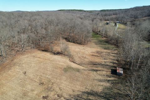 Tiny photo for 342 Bassett Road, Elizabethtown, IL 62931 (MLS # 100000561)