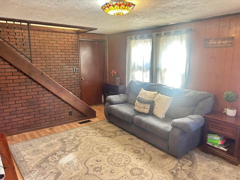 Tiny photo for 342 Bassett Road, Elizabethtown, IL 62931 (MLS # 100000561)