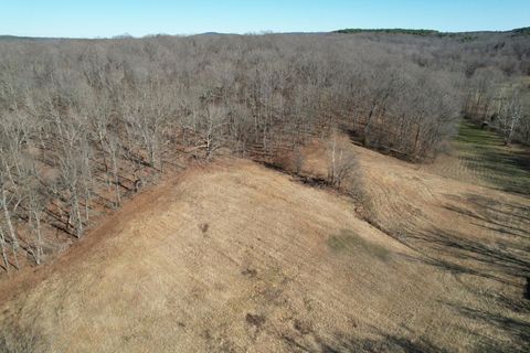 Tiny photo for 342 Bassett Road, Elizabethtown, IL 62931 (MLS # 100000561)