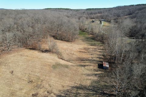 Tiny photo for 342 Bassett Road, Elizabethtown, IL 62931 (MLS # 100000561)