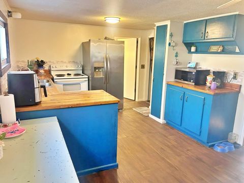 Tiny photo for 342 Bassett Road, Elizabethtown, IL 62931 (MLS # 100000561)