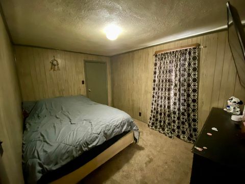 Tiny photo for 342 Bassett Road, Elizabethtown, IL 62931 (MLS # 100000561)