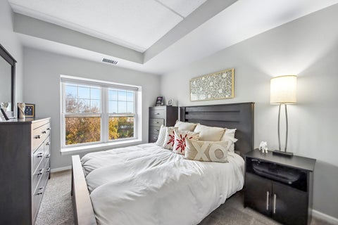 Tiny photo for 390 W Mahogany Court #406, Palatine, IL 60067 (MLS # 12796369)