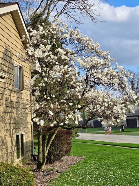 Tiny photo for 4759 Crest Court, Waukegan, IL 60087 (MLS # 12620863)