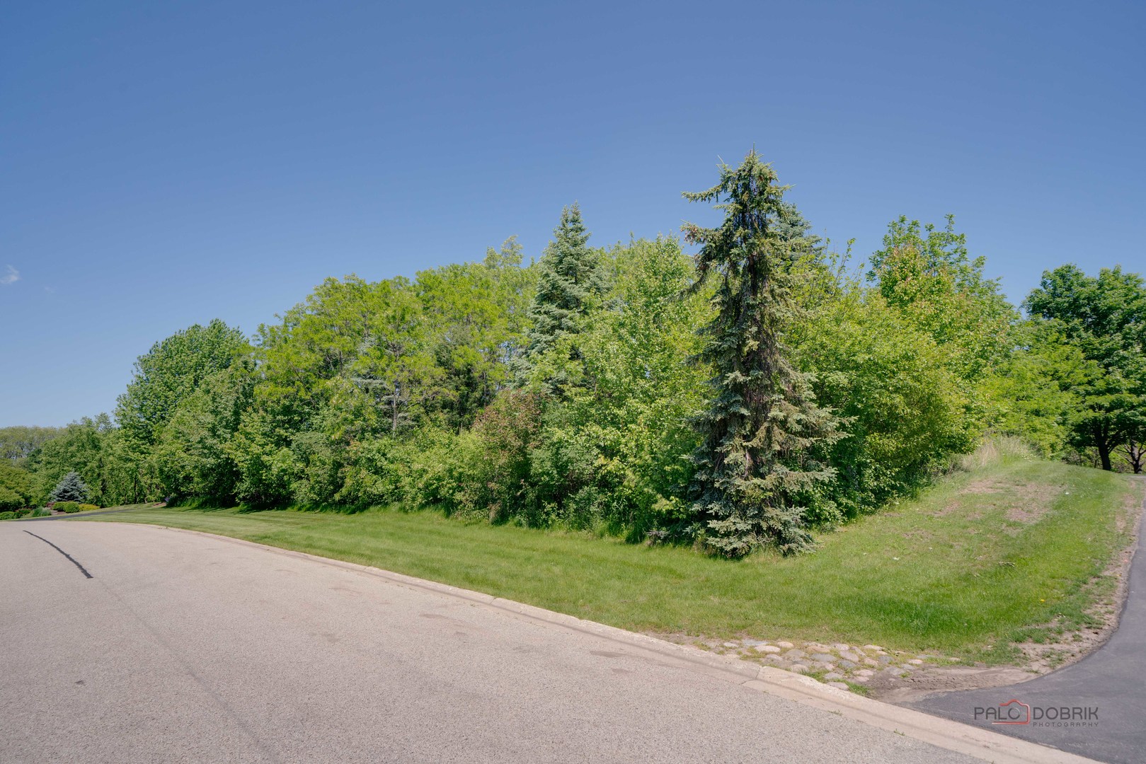 39683 N Orchard Bluff Lane