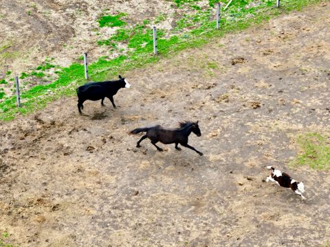 Tiny photo for 335 N 9250E Road, Momence, IL 60954 (MLS # 12608297)