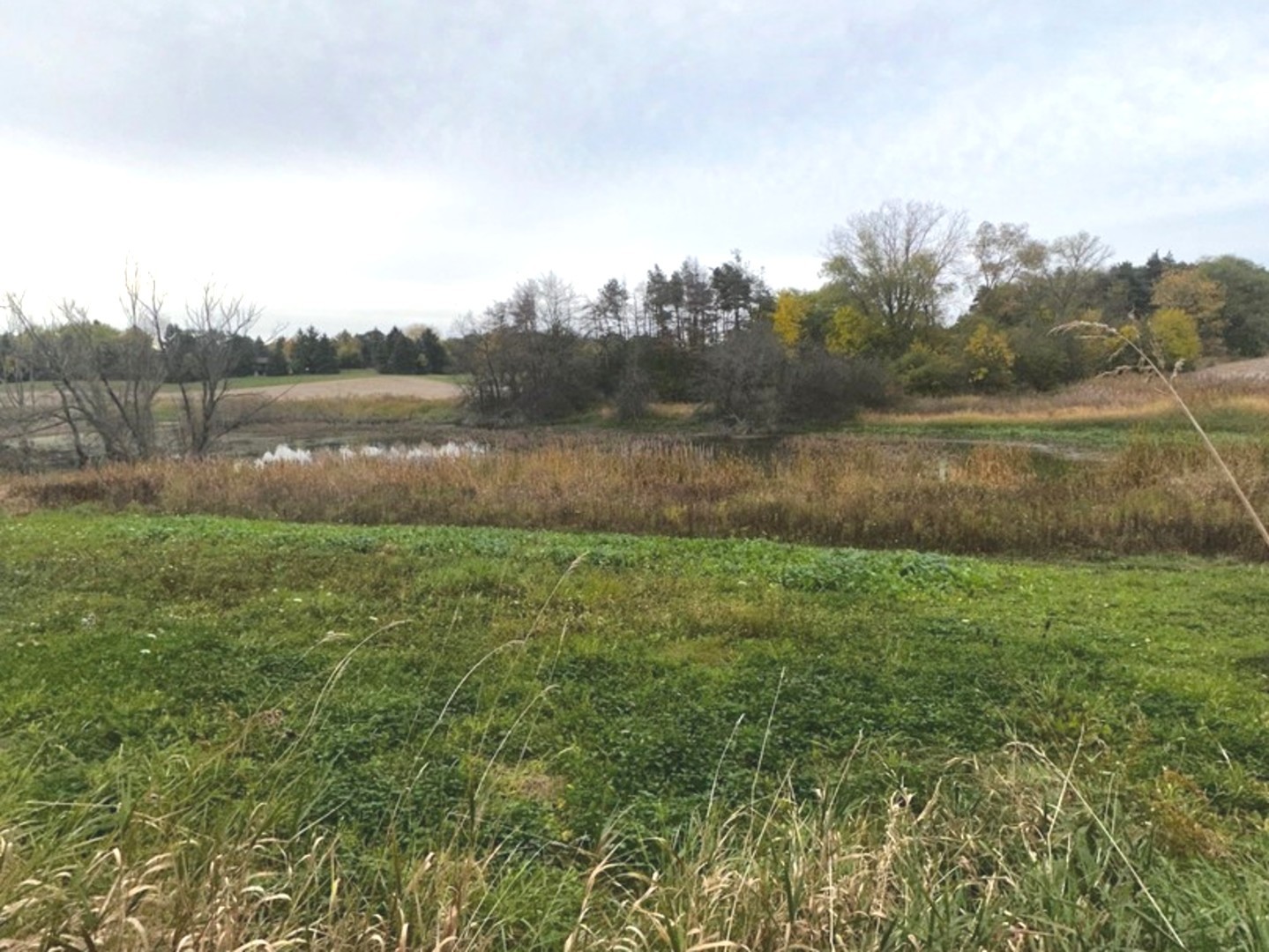 17320 W IL. Route 173