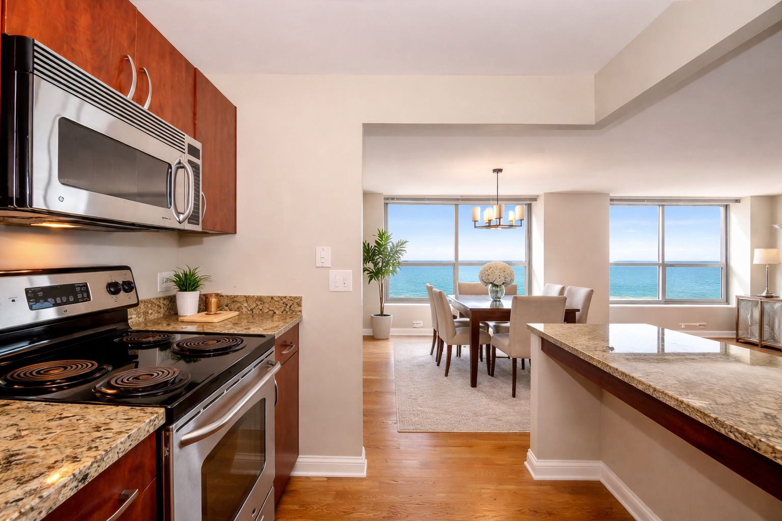 474 N Lake Shore Drive 2505