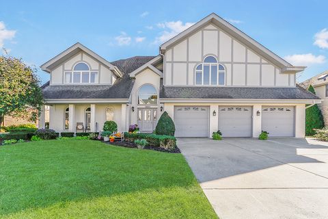 13629 S Kickapoo Trail Homer Glen IL 60491