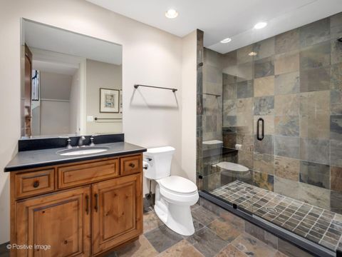 Tiny photo for 431 Woodland Park Court, Hinsdale, IL 60521 (MLS # 12653268)