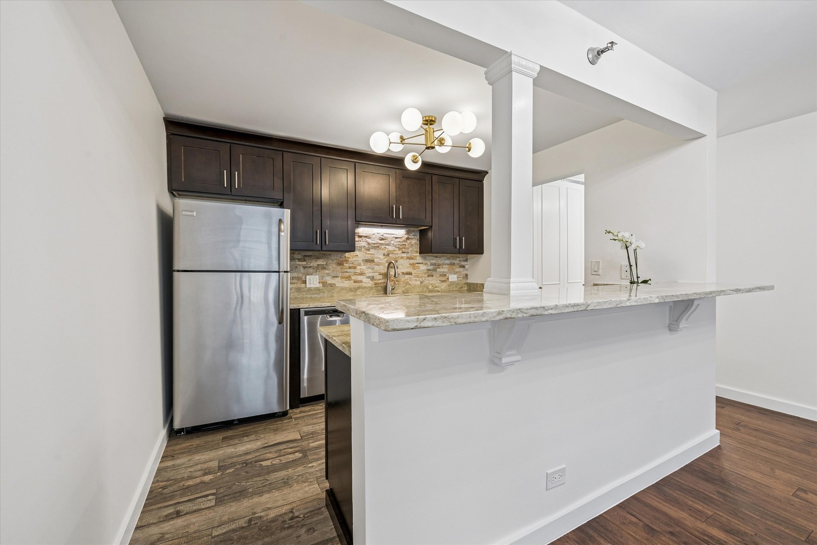 200 N Dearborn Street 1007