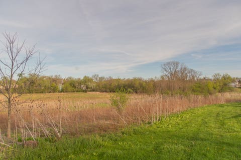 Tiny photo for 21472 W Il Route 22, Lake Zurich, IL 60047 (MLS # 12684447)