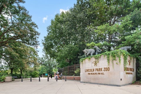 Tiny photo for 2100 N Lincoln Park West PARK #3ES, Chicago, IL 60614 (MLS # 12763470)