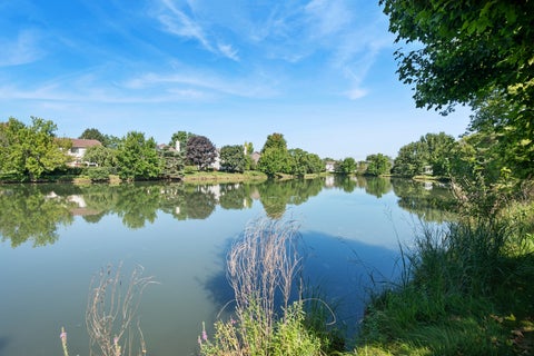 Tiny photo for 18296 W Meander Drive, Grayslake, IL 60030 (MLS # 12754277)