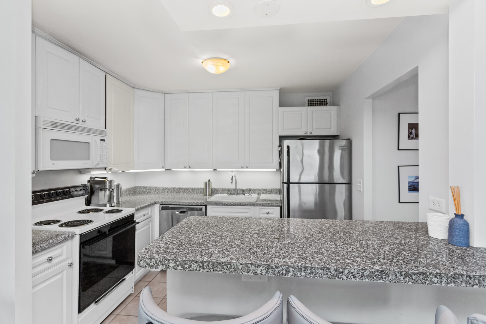 Chicago, Illinois 60614, United States, 1 Bedroom Bedrooms, ,1 BathroomBathrooms,Residential,Active,190716