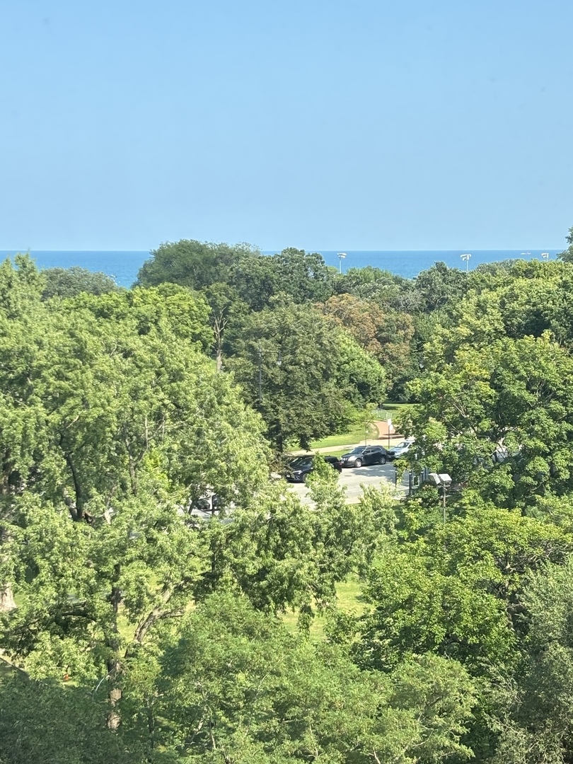 Chicago, Illinois 60614, United States, 1 Bedroom Bedrooms, ,1 BathroomBathrooms,Residential,Active,190716