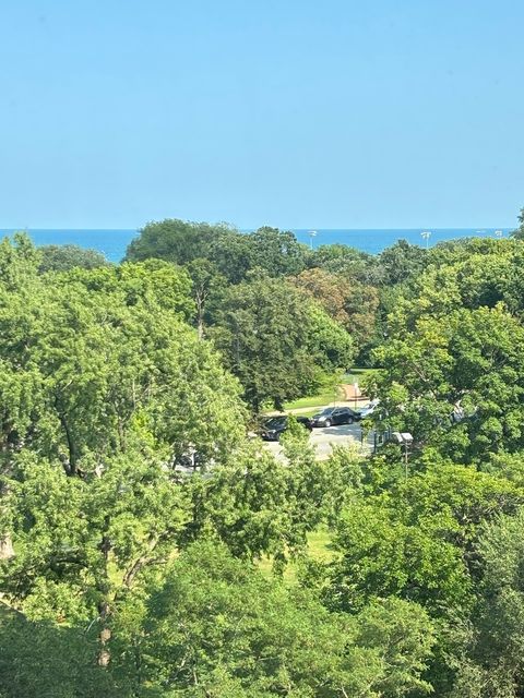 Tiny photo for 1850 N Clark Street #707, Chicago, IL 60614 (MLS # 12445044)