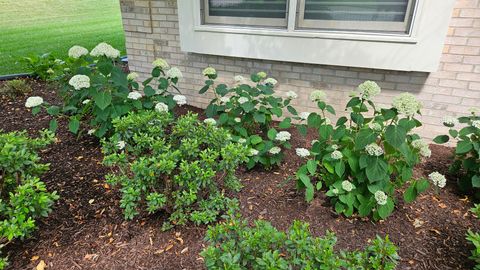 Tiny photo for 1220 Davey Drive, Batavia, IL 60510 (MLS # 12581037)