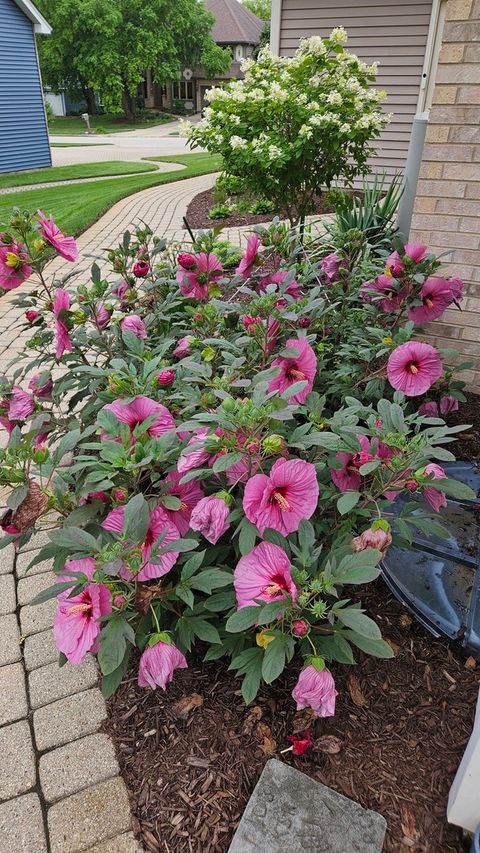 Tiny photo for 1220 Davey Drive, Batavia, IL 60510 (MLS # 12581037)