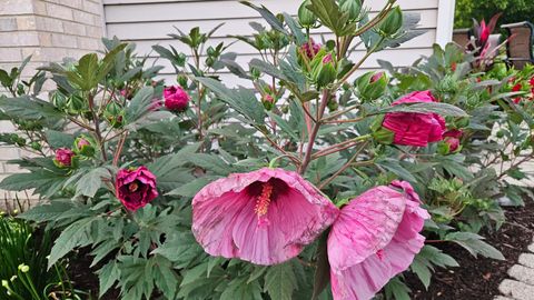 Tiny photo for 1220 Davey Drive, Batavia, IL 60510 (MLS # 12581037)