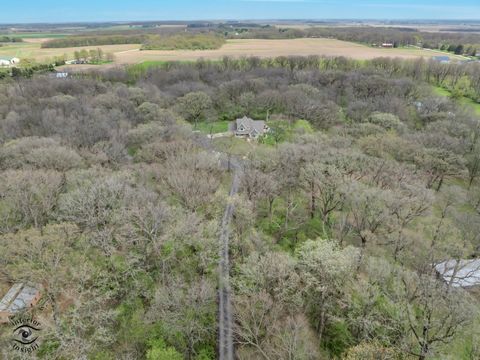 Tiny photo for 7223 N 16000e Road, Grant Park, IL 60940 (MLS # 12622661)