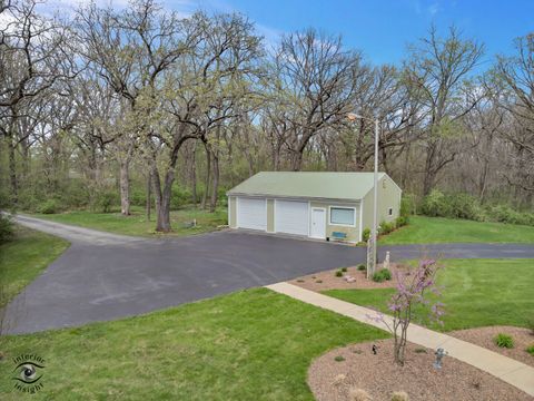 Tiny photo for 7223 N 16000e Road, Grant Park, IL 60940 (MLS # 12622661)