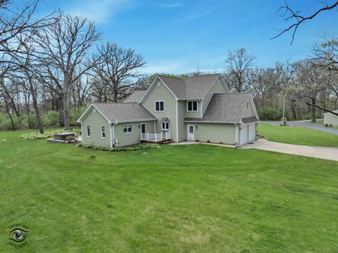 Tiny photo for 7223 N 16000e Road, Grant Park, IL 60940 (MLS # 12622661)