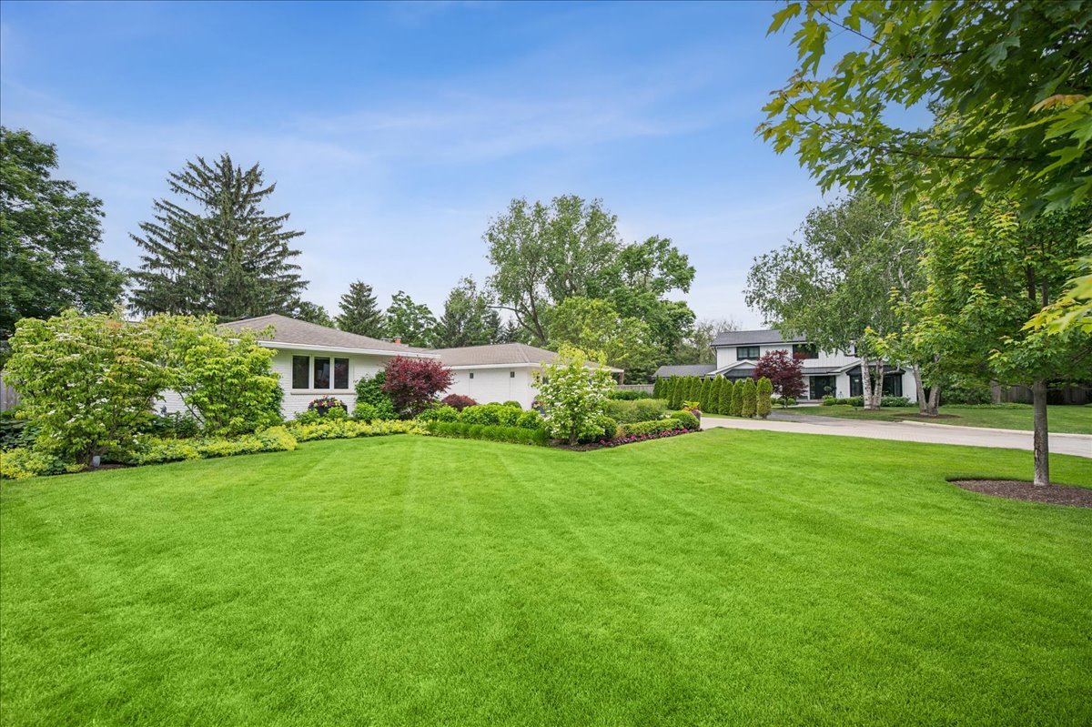 920 Pine Tree Lane
