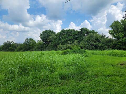 Tiny photo for 2035 Mount Hebron Road, Makanda, IL 62958 (MLS # 12687686)