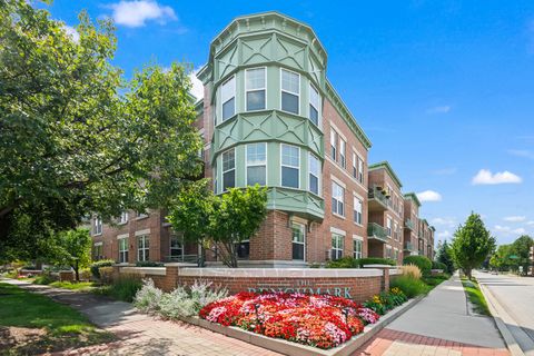 133 W Palatine Road 107A Palatine IL 60067