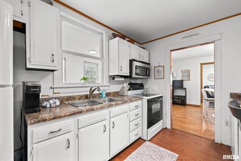 Tiny photo for 406 234th St Street, Aledo, IL 61234 (MLS # QC4266899)