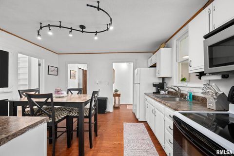 Tiny photo for 406 234th St Street, Aledo, IL 61234 (MLS # QC4266899)