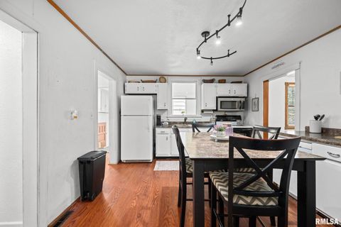 Tiny photo for 406 234th St Street, Aledo, IL 61234 (MLS # QC4266899)