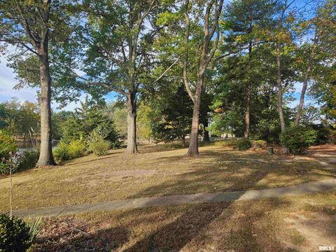 Tiny photo for 11799 E Webb Road, Mt Vernon, IL 62864 (MLS # EB460182)