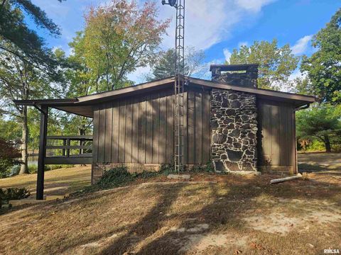 Tiny photo for 11799 E Webb Road, Mt Vernon, IL 62864 (MLS # EB460182)