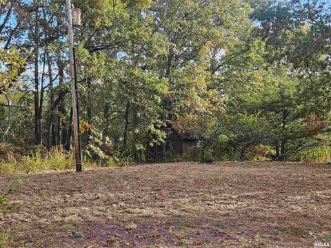 Tiny photo for 11799 E Webb Road, Mt Vernon, IL 62864 (MLS # EB460182)