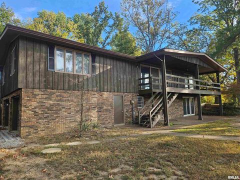 Tiny photo for 11799 E Webb Road, Mt Vernon, IL 62864 (MLS # EB460182)