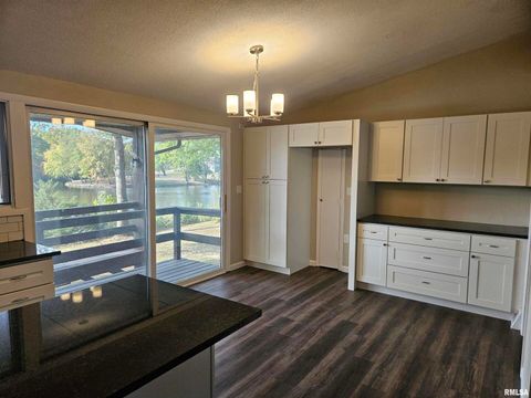 Tiny photo for 11799 E Webb Road, Mt Vernon, IL 62864 (MLS # EB460182)