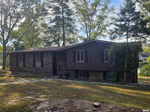 Tiny photo for 11799 E Webb Road, Mt Vernon, IL 62864 (MLS # EB460182)