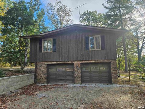 Tiny photo for 11799 E Webb Road, Mt Vernon, IL 62864 (MLS # EB460182)