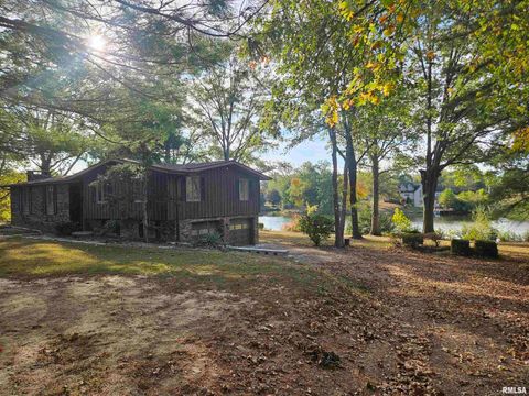 Tiny photo for 11799 E Webb Road, Mt Vernon, IL 62864 (MLS # EB460182)